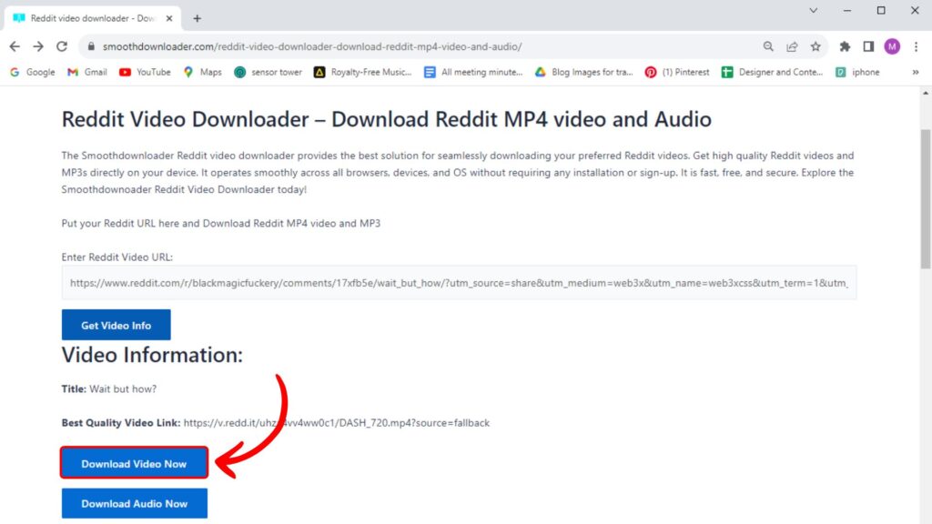 appuyez sur "Télécharger l'audio maintenant" pour convertir la vidéo en audio uniquement.